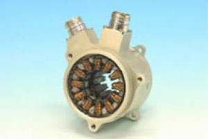 PMA (Permanent Magnet Alternator)