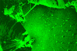 Conversión de escaneo de radar SPx de Cambridge Pixel